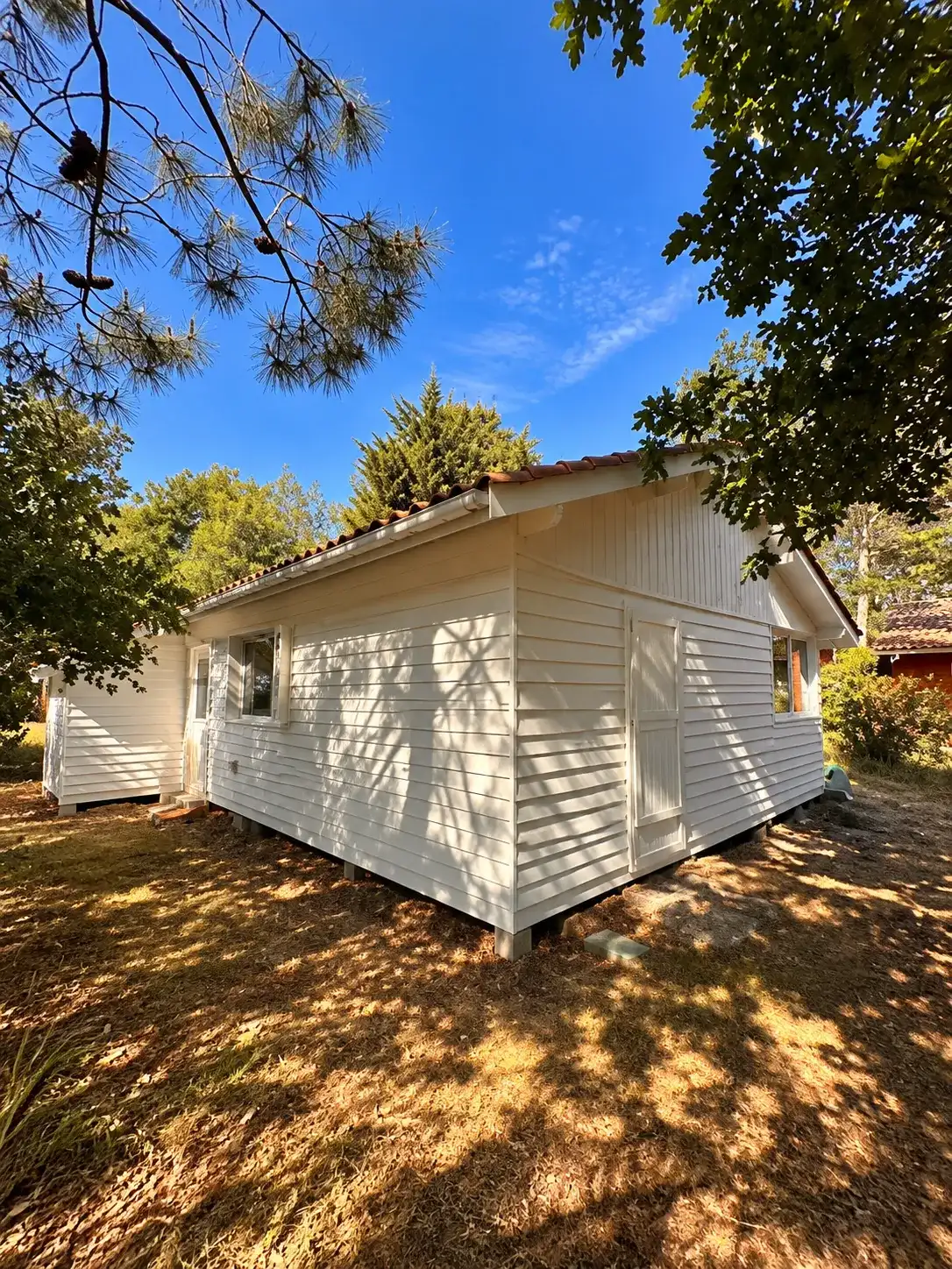 Arrière de la maison, bardage horizontal repeint en blanc cassé, à l’ombre des pins